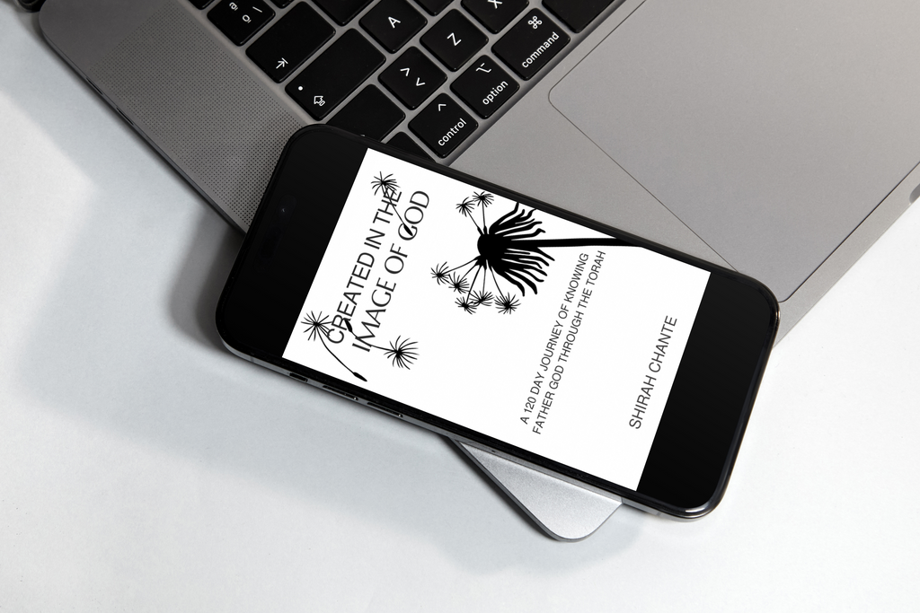 Created in the Image of God 120 Day Devotional