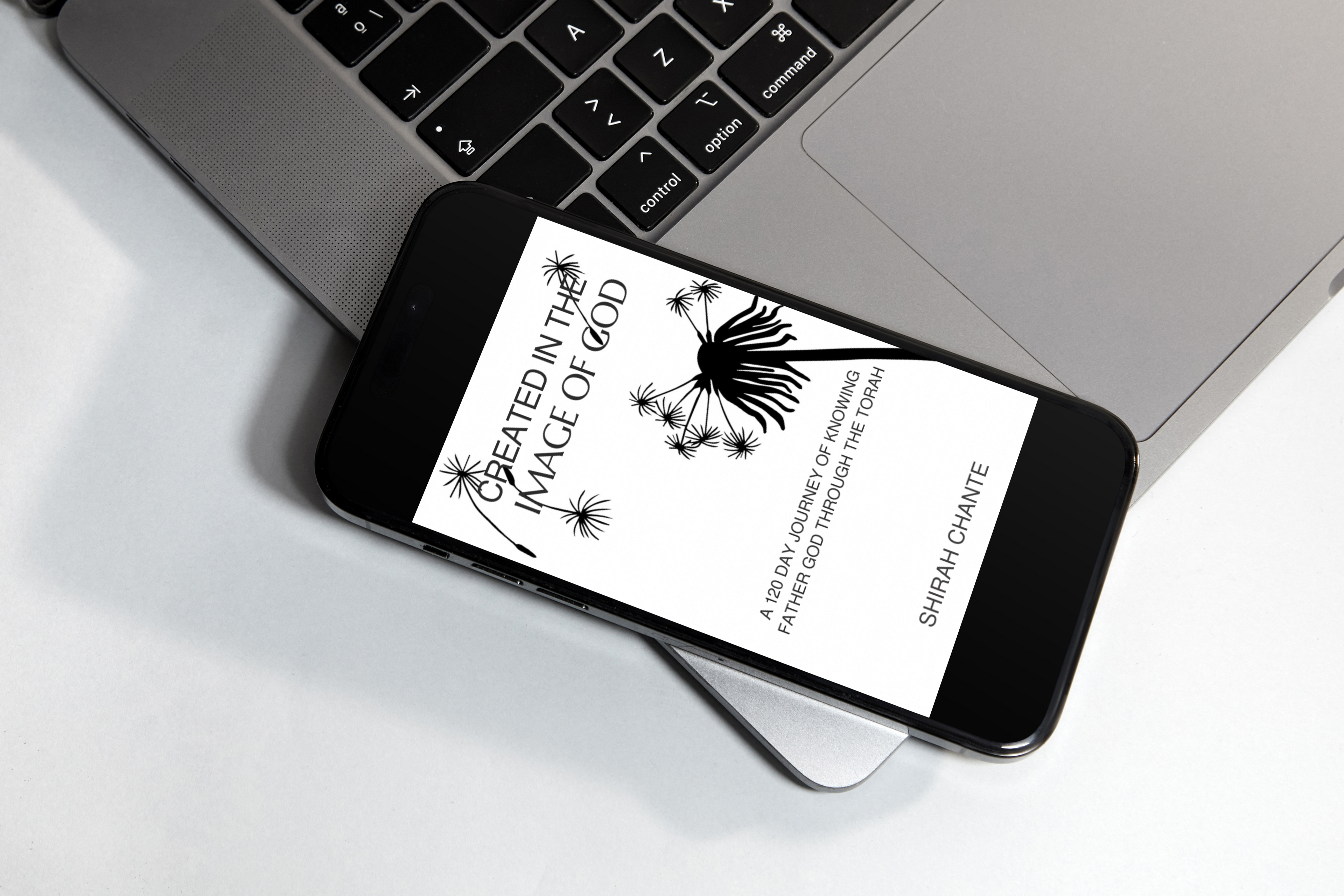 Created in the Image of God 120 Day Devotional