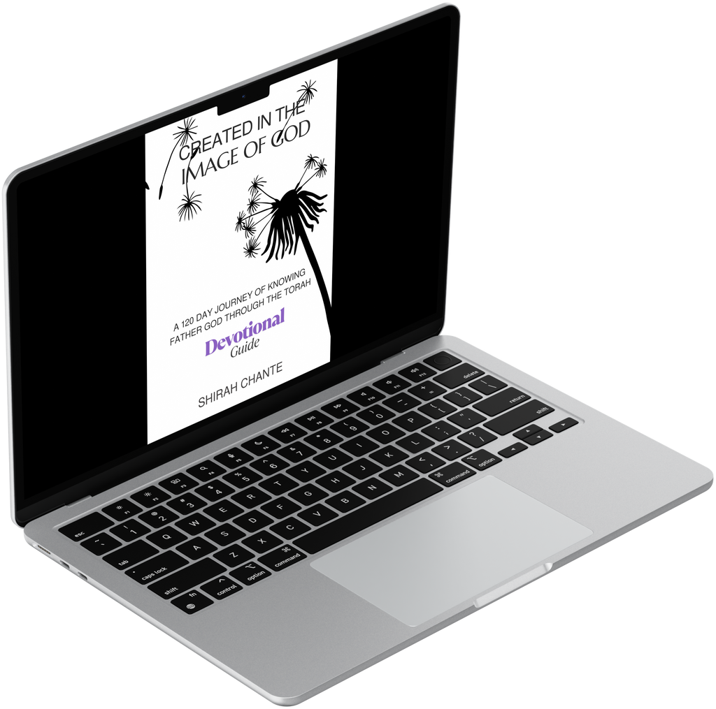 Created in the Image of God 120 Day Devotional